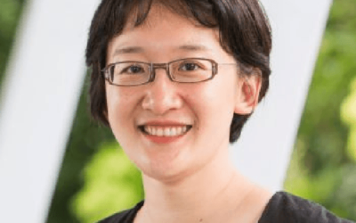 Prof. HAN Ling